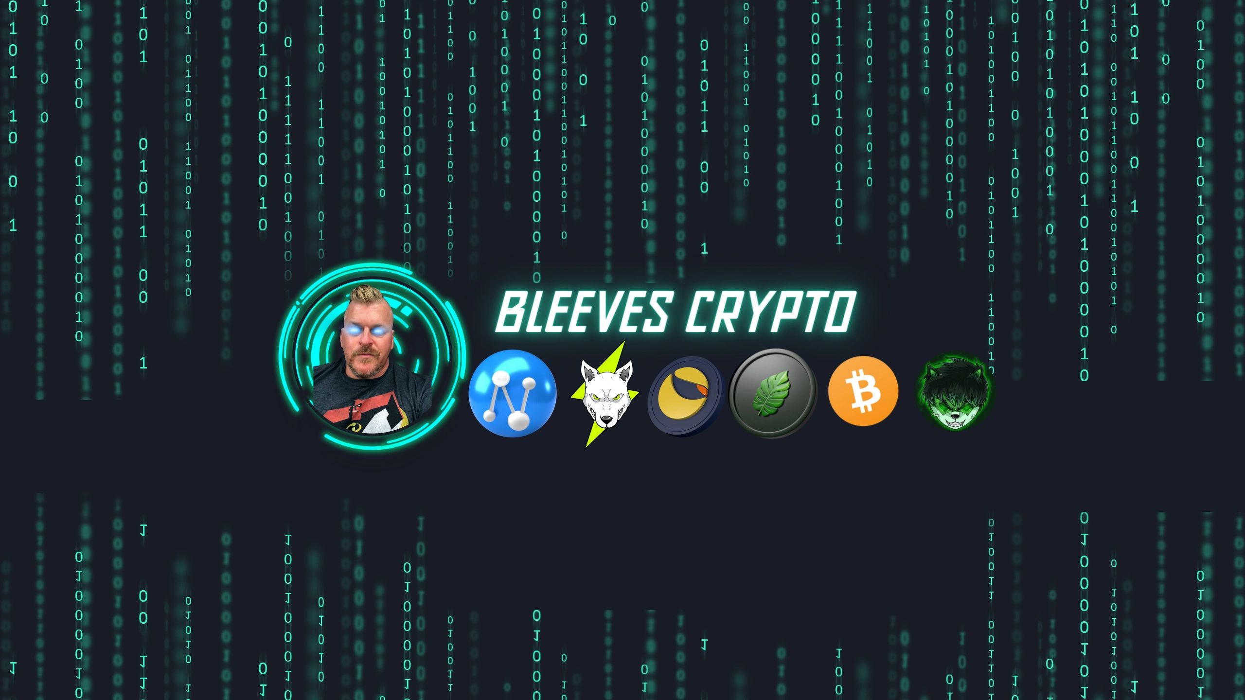 bleeves crypto